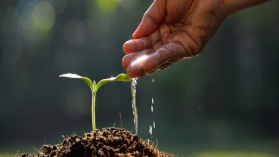 Ingenieros Agrónomos advierten sobre medida que debilita la sustentabilidad y el control técnico en el manejo de suelos
