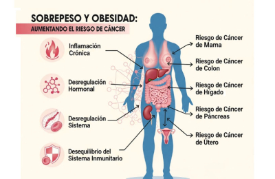 ¿Influyen el sobrepeso y la obesidad en el inicio y progresión del cáncer?