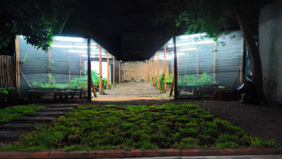 Entre Fresias, un respiro verde entre tanto cemento