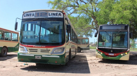 colectivos.jpg