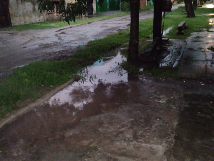 zanja.jpg