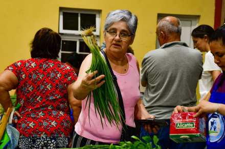 Feria paippa-2.jpg