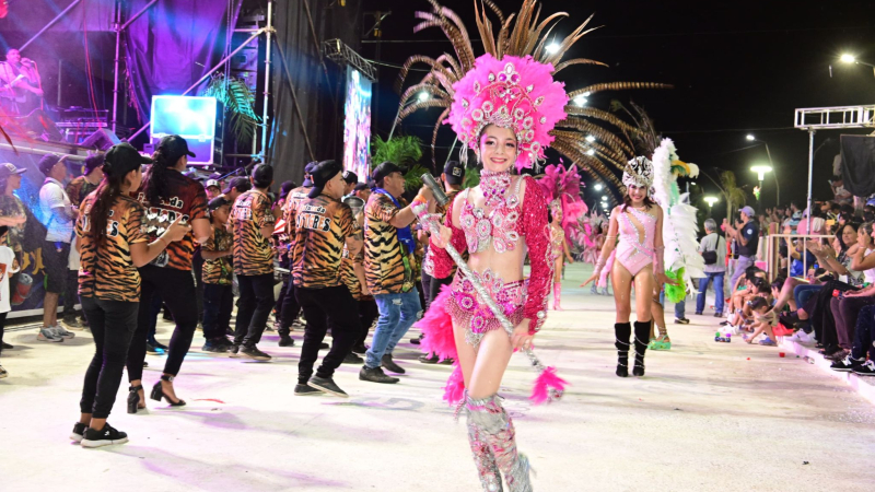 Pozo del Tigre prepara sus "Carnavales de la Alegría" 