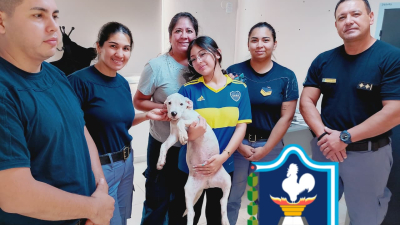 Les robaron el cachorrito, lo vendieron y la policía lo recuperó