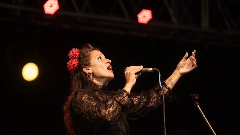 Roma Ramírez llega con sus canciones del disco Alma Florida