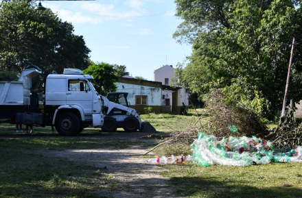 basura.jpg