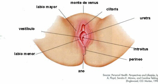 Foto2 (2).jpg