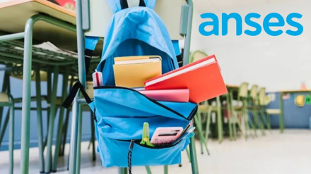 anses.jpg