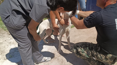 Un perro en estado de abandono fue rescatado por la policía