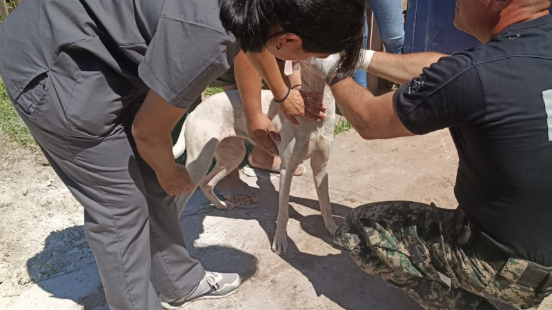 Un perro en estado de abandono fue rescatado por la policía