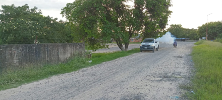 En Clorinda refuerzan la prevención contra el dengue ante la invasión de mosquitos causada por las lluvias y la crecida del río (5) (1).jpeg