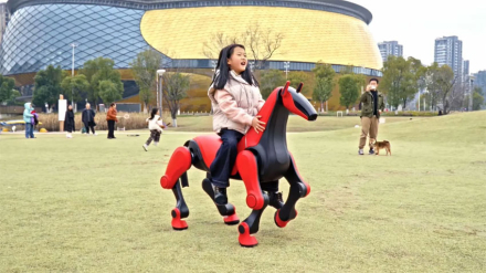 caballo3