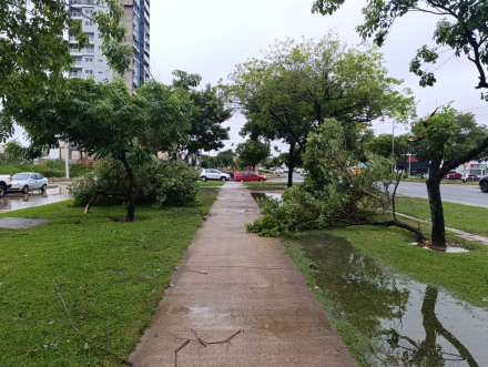 Rápida respuesta de la DPV tras las últimas lluvias (6).jpeg