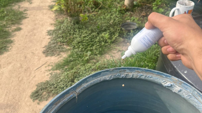 Recomendaciones ante el aumento de mosquitos tras las lluvias