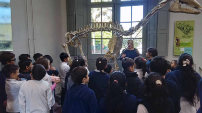 Alumnos de tercer grado vivieron una jornada educativa inolvidable en el Museo de Ciencias Naturales