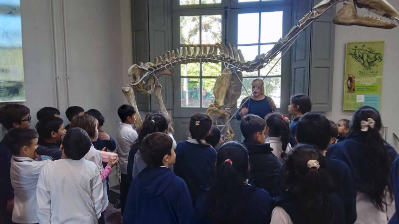 Alumnos de tercer grado vivieron una jornada educativa inolvidable en el Museo de Ciencias Naturales