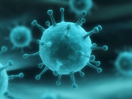 coronavirus.jpg