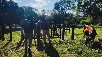 Intensa búsqueda: rastrillajes por un hombre de 80 años desaparecido