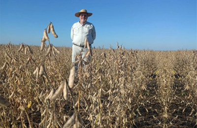 "Tenemos más producción, pero tenemos menos productores", advierten