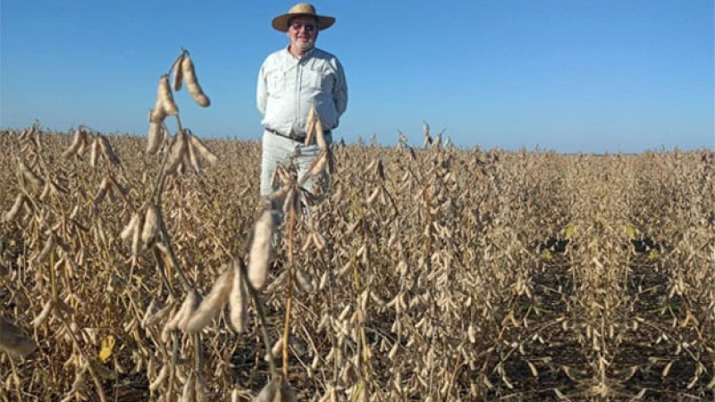 "Tenemos más producción, pero tenemos menos productores", advierten