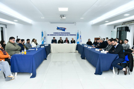 El CPCEF impulsó una mesa de trabajo interinstitucional (3).jpg
