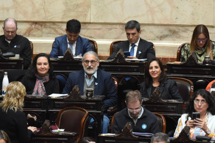 Diputados nacionales UP-Formosa