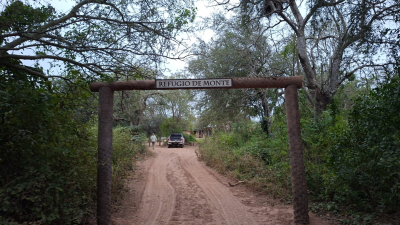 Dormir en el monte y avistar fauna silvestre: la experiencia que conquista a visitantes de El Impenetrable