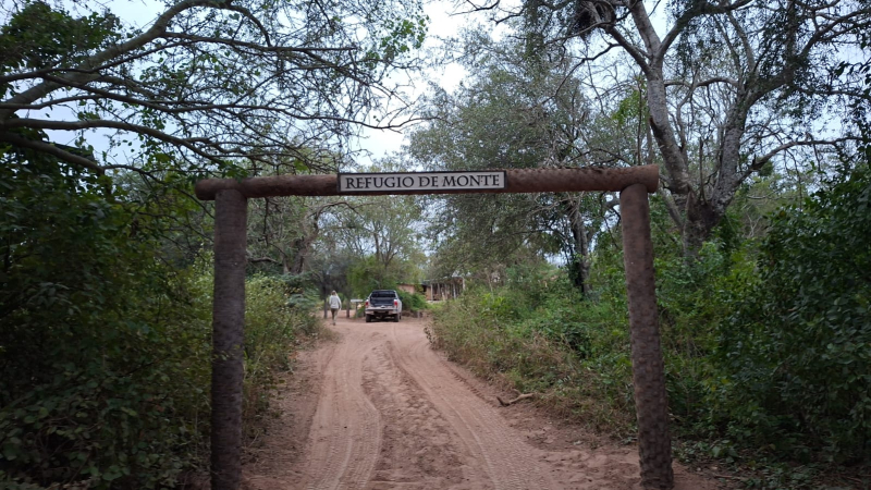 Dormir en el monte y avistar fauna silvestre: la experiencia que conquista a visitantes de El Impenetrable