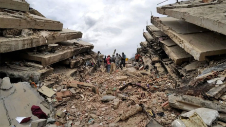 terremoto3