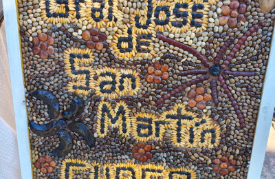 Feria y trueque de semillas en la plaza central de General San Martín 