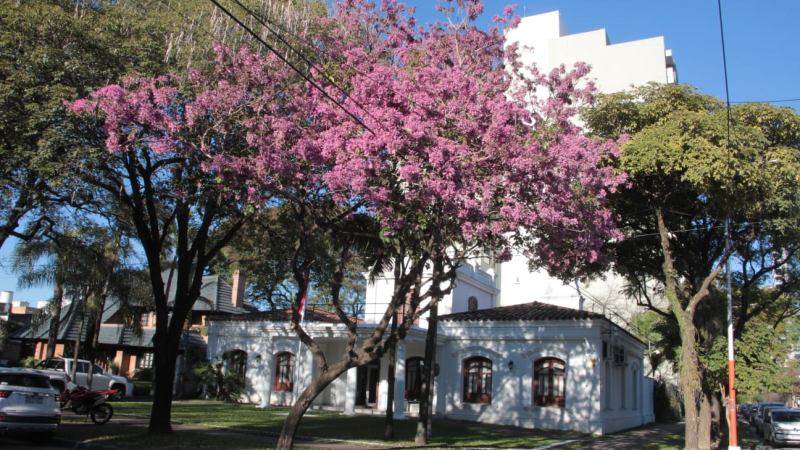 El veranillo de San Juan tardío se quedará por varios días