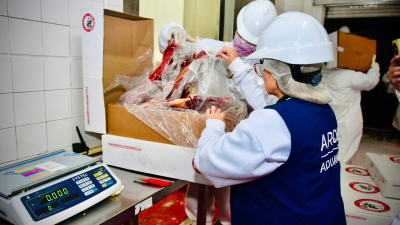Segunda exportación de carne caprina del Impenetrable a Arabia Saudita