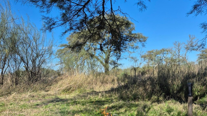 Alerta de riesgo extremo por incendios en la provincia de Corrientes