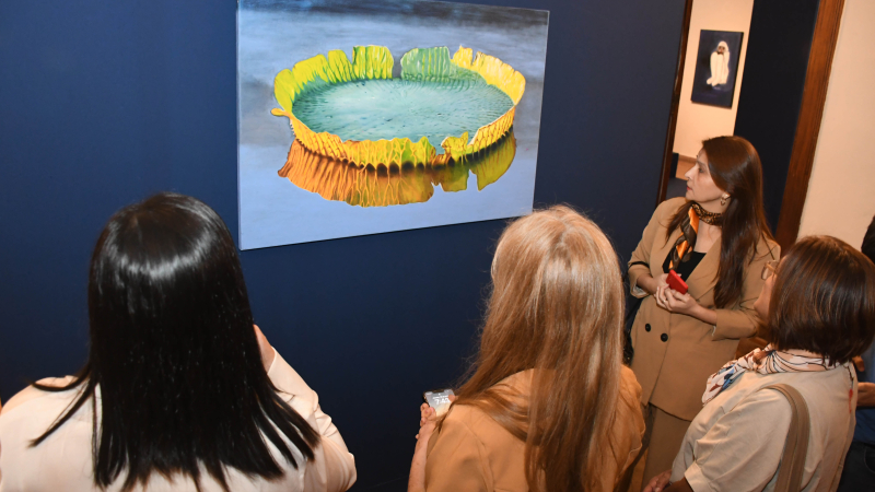 Visitas guiadas para conocer la colección de arte del NBCH