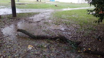 La tormenta golpeó al Gran Resistencia con daños en distintos sectores