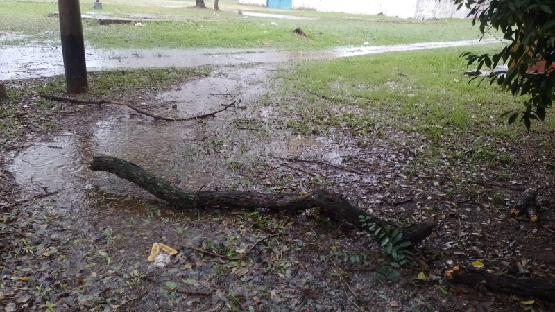 La tormenta golpeó al Gran Resistencia con daños en distintos sectores
