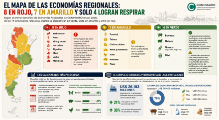 economías reg
