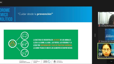 Equipos de salud actualizaron conocimientos sobre el Síndrome Urémico Hemolítico
