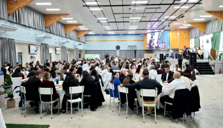 pauta 16