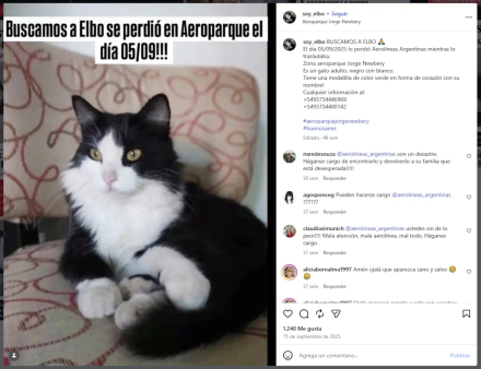 elbo