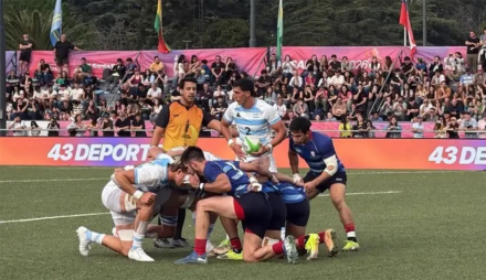 pumas