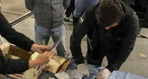 Lulú marcó el lugar y secuestraron más de tres kilos de cocaína ocultos debajo del asiento de un auto