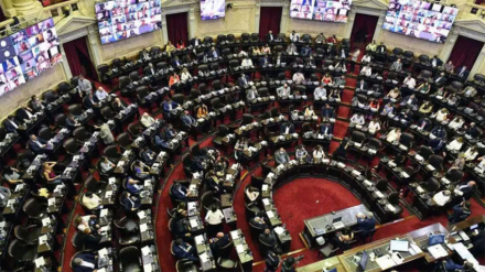 diputados