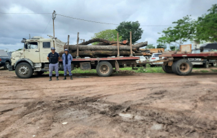 Interceptan un camión con cinco toneladas de quebracho colorado