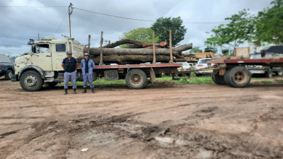Interceptan un camión con cinco toneladas de quebracho colorado