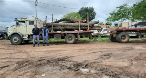 Interceptan un camión con cinco toneladas de quebracho colorado