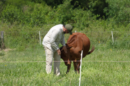03 - Ganaderia y conservacion.jpg