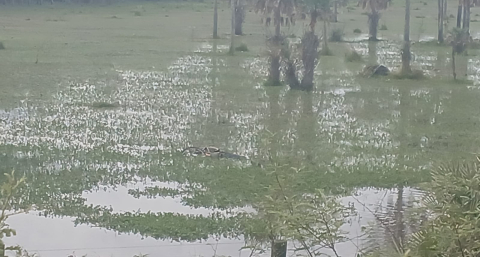 Hallaron el cuerpo de un hombre en un campo inundado