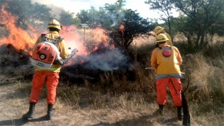 incendios.jpg