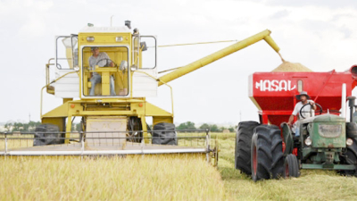 Con unas 90.000 hectáreas sembradas arranca la cosecha correntina de arroz